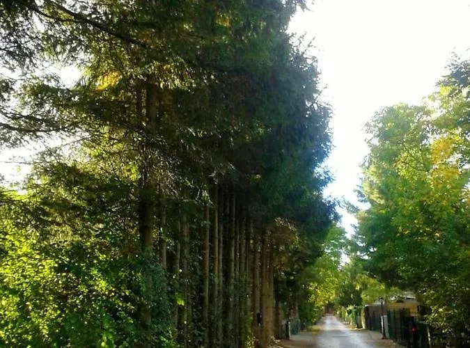 Chalet Charming In With Mountain View Tellin